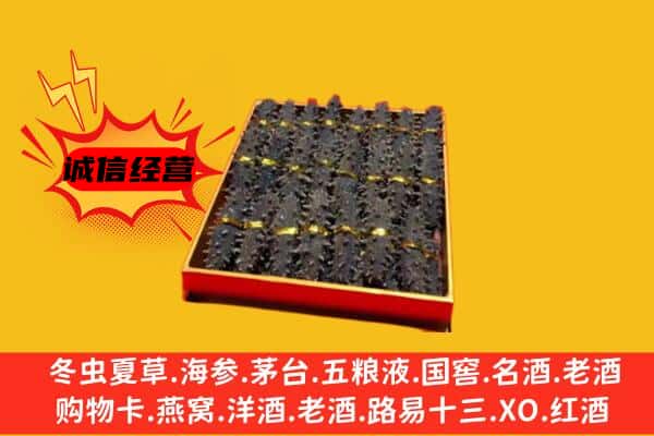 济南市市中回收海参